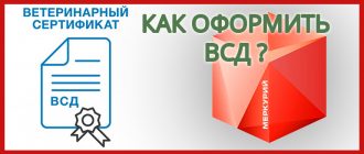 kak-oformit-vsd-v-merkurii